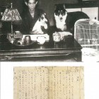 Amazon.co.jp: 『禽獣 川端康成』初版 野田書房 昭和10年 : おもちゃ